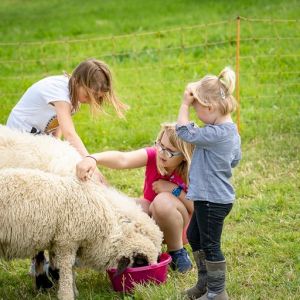 Ferienhof Ruessmann Tiere